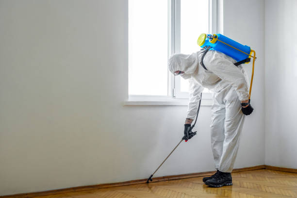 Best Emergency Pest Control  in Preston, TX