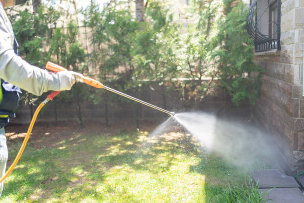 Best Mosquito Control Services  in Preston, TX
