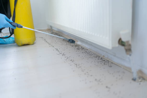 Preston, TX Pest Control Pros