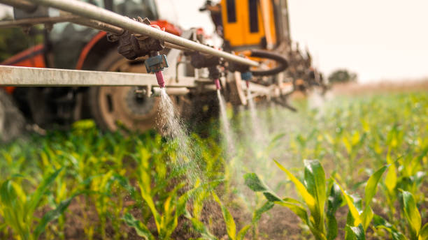 Best Pest Removal Services  in Preston, TX