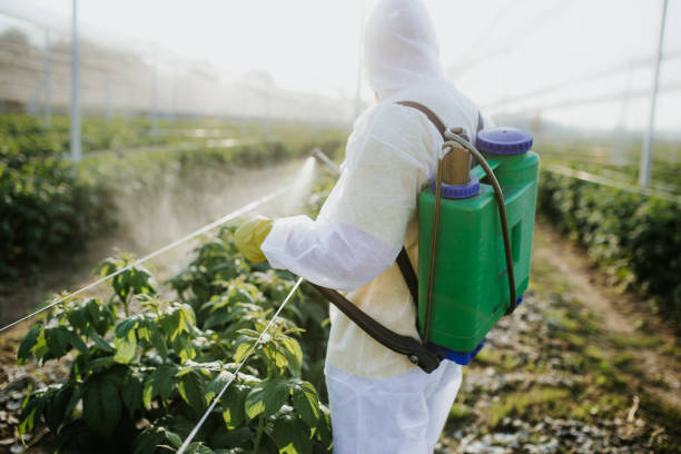 Professional Pest Control in Preston, TX